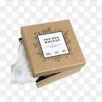 Cardboard 盒子psd
