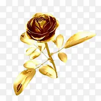 黄金玫瑰
