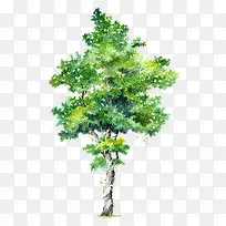 手绘树木素材绿色树木元素