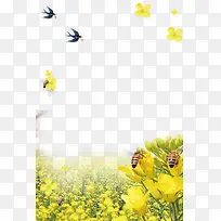 春季油菜花与燕子装饰边框
