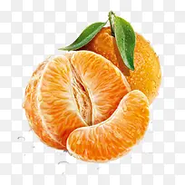 手绘橘子果肉