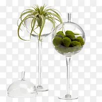 中式玻璃圆球植物微景观摆件