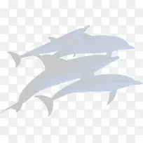 灰色鲸鱼海豚剪影