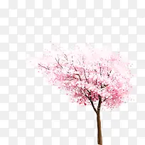 卡通水彩樱花树