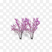 粉紫色小树