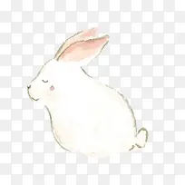 素描小白兔
