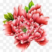 国画绚丽绽放红色花卉