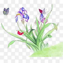 花卉