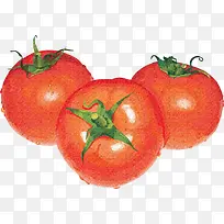 手绘三个西红柿