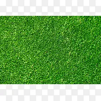 绿色草地纹理贴图元素