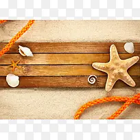 沙滩木板贝壳海星