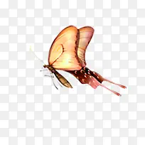 卡通梦幻蝴蝶