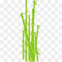 绿色的卡通竹子