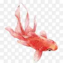 水墨风格红色创意合成金鱼