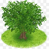 小绿树