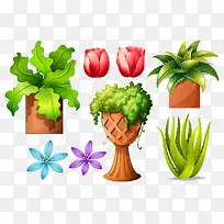 各种植物