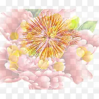 牡丹花背景