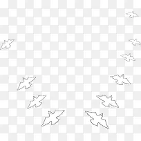 线描鸽子
