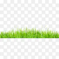 清新绿色草丛设计矢量图