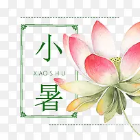 小暑莲花