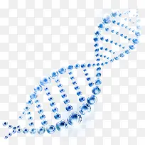 蓝色清新DNA效果元素