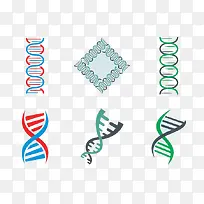 DNA双螺旋矢量图片