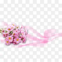 粉色非洲菊PSD素材