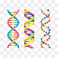 DNA结构图片