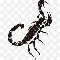 黑色纹身蝎子图案