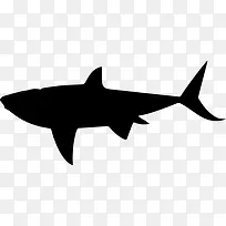 鲨鱼的形状图标