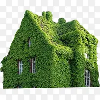 爬满绿色植物的别墅