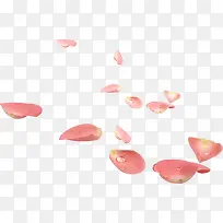 几片带水珠的粉色花瓣