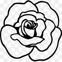 玫瑰花手绘图