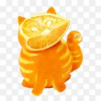 橙子装饰猫造型食品图案
