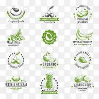 绿色蔬菜美食标志图标图片