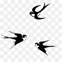 黑白燕子