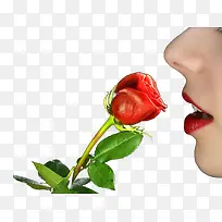 玫瑰美女红唇