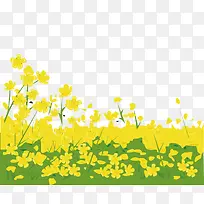 黄色花卉草地图