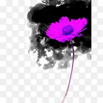 手绘水彩紫色太阳花