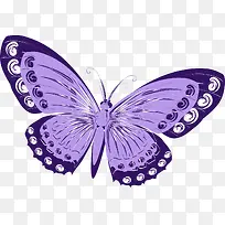 唯美紫色蝴蝶