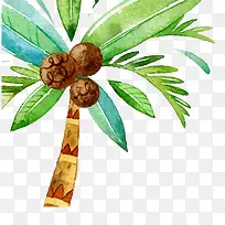 手绘水彩椰子树