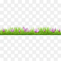 草丛紫色兰花