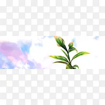 唯美梦幻场景图