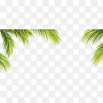绿色椰子叶边框纹理