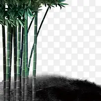 竹子素材图