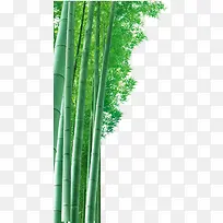 竹子高清背景素材