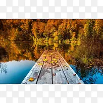 树林木板湖泊秋天