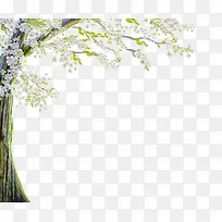 白色唯美意境花朵大树
