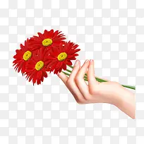 花卉专辑