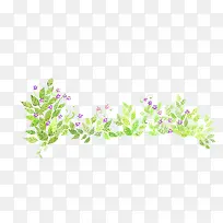 花卉专辑
